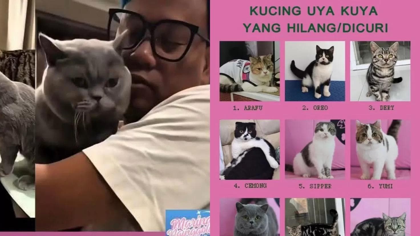 Uya Kuya Tabah Hadapi Penjarahan, Utamakan Keluarga dan Kucing Kesayangan