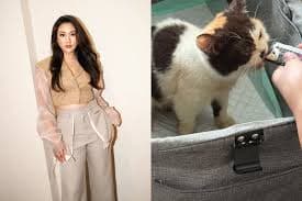 Sherina Munaf Kembali Jalani Pemeriksaan Polisi Gara-gara Kasus Kucing Uya Kuya