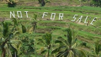🌾 Bali Stop Izin Hotel & Restoran di Sawah